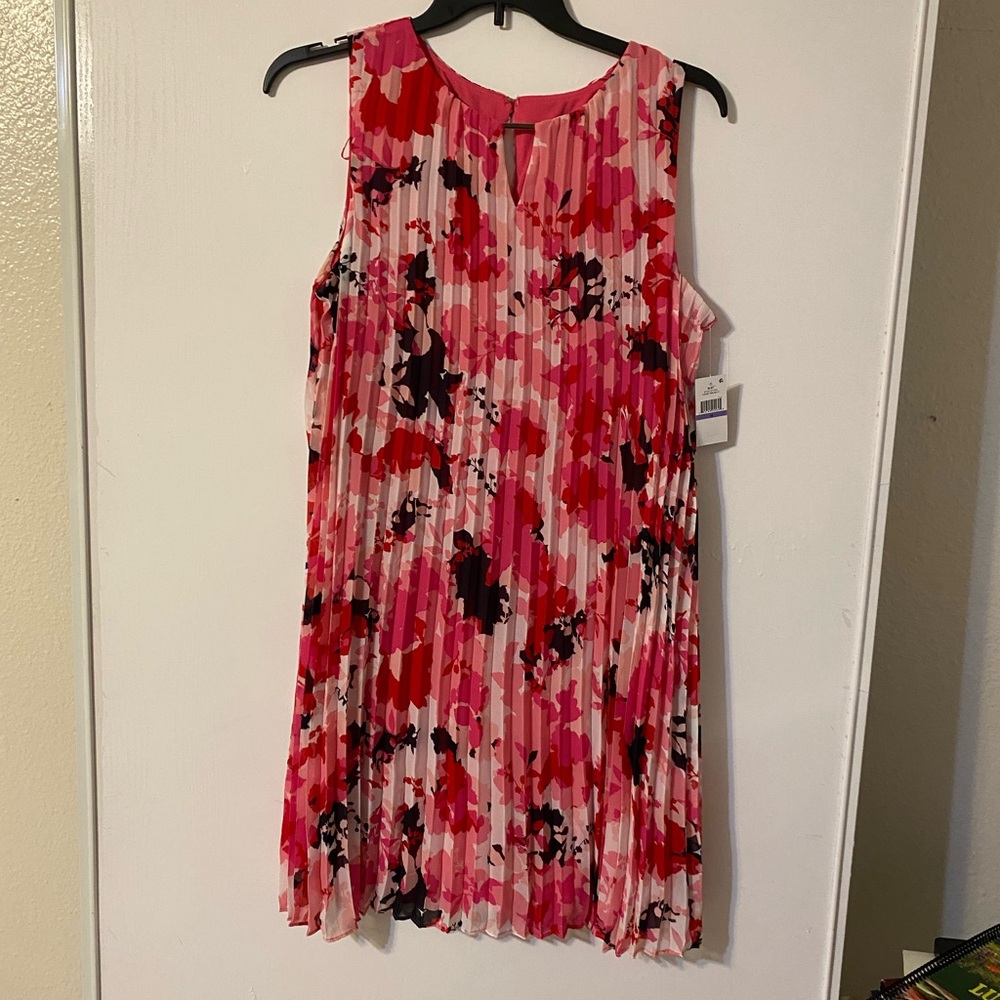 SLNY Pink and Red Floral Dress